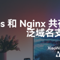 frps和 Nginx 共存 80 443 端口及泛域名支持教程