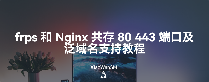 Featured image of post frps和 Nginx 共存 80 443 端口及泛域名支持教程